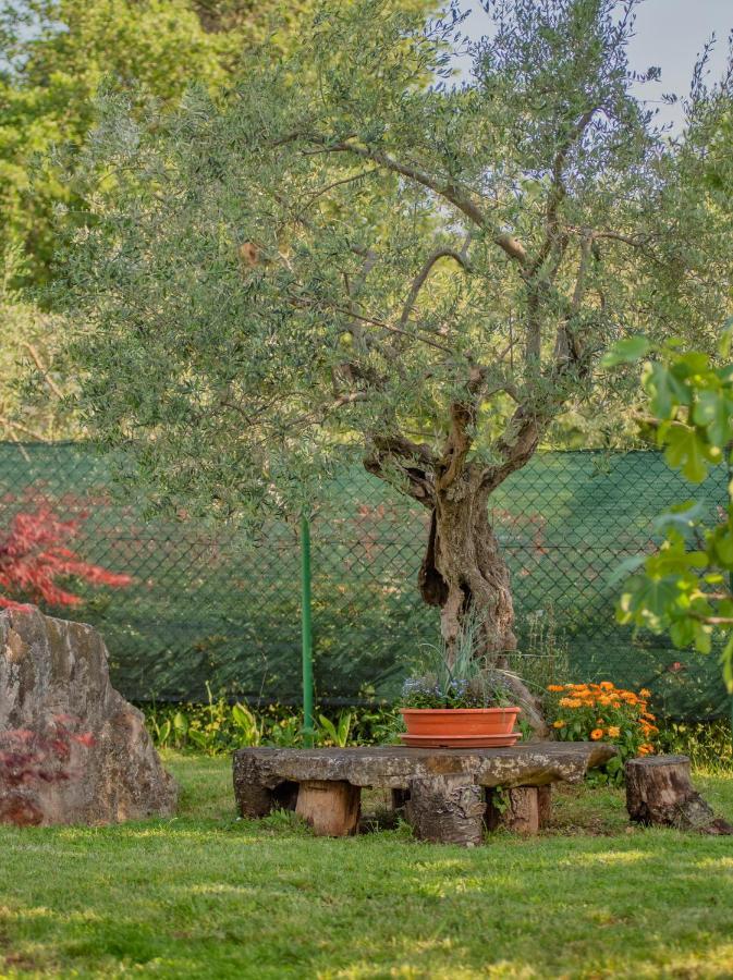 Studio App Luka-We Love Nature. Sveti Ivan  Exterior foto