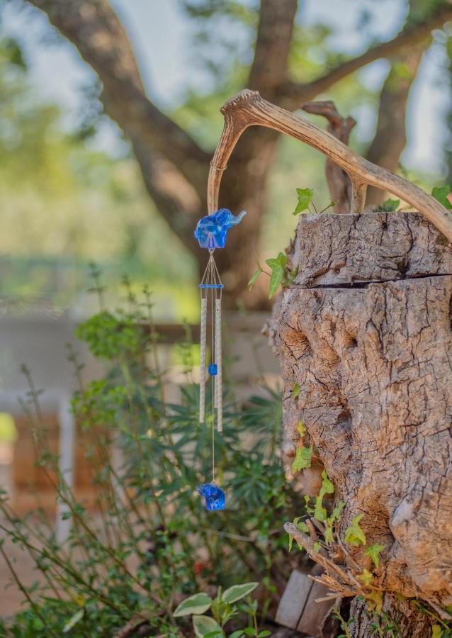 Studio App Luka-We Love Nature. Sveti Ivan  Exterior foto